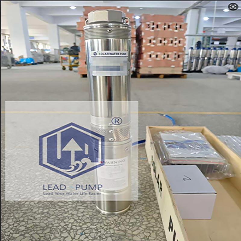 Leverans av en provenhet till Kenya